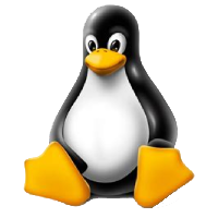 mes compétences linux